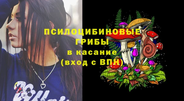 трава Покачи