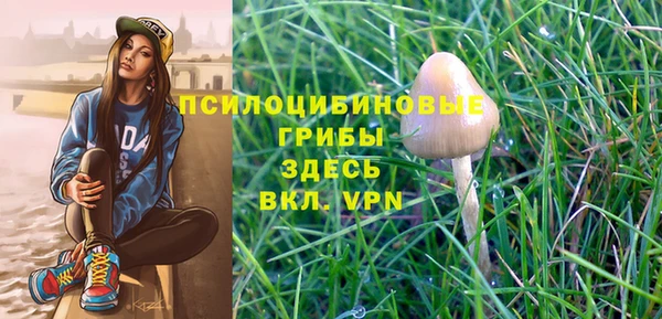 a pvp Абинск