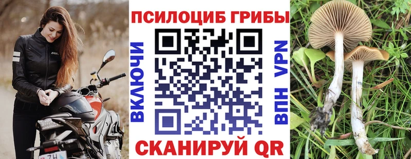 сколько стоит  Альметьевск  Галлюциногенные грибы GOLDEN TEACHER 