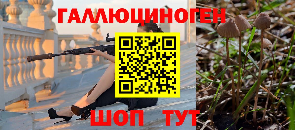 Псилоцибиновые грибы Cubensis Альметьевск