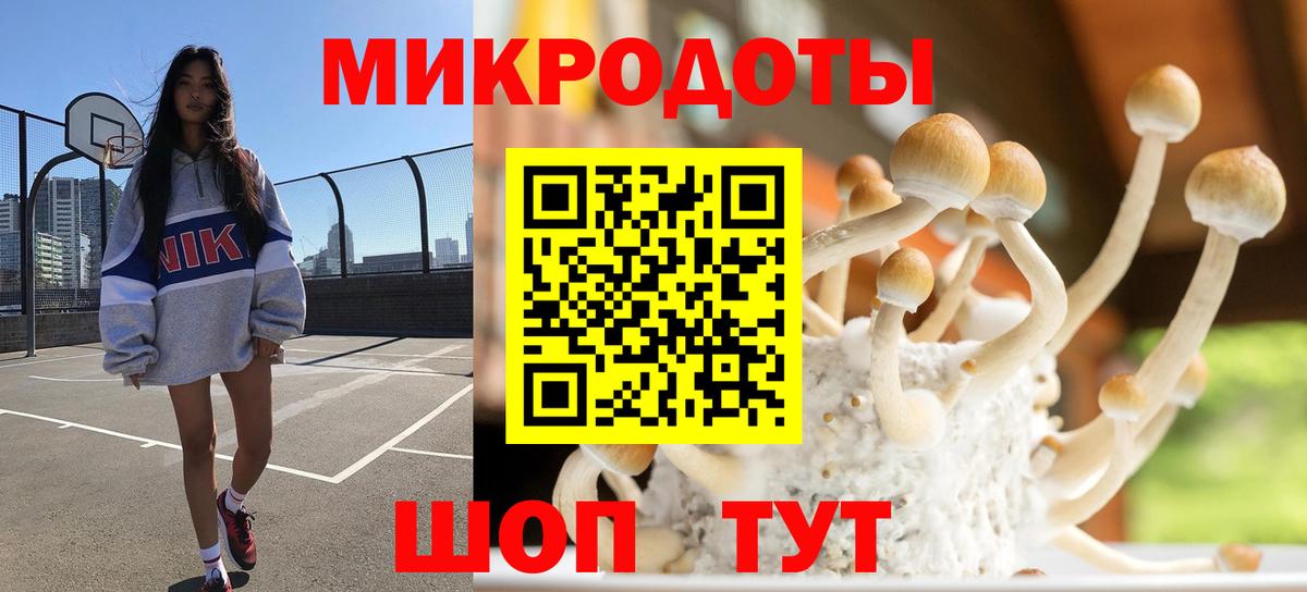 Галлюциногенные грибы Magic Shrooms  Галлюциногенные грибы Cubensis  Вход с VPN  Альметьевск 